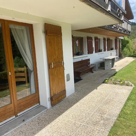 Appartement De Montagne Au Chalet De Snow Xonrupt-Longemer Exterior foto